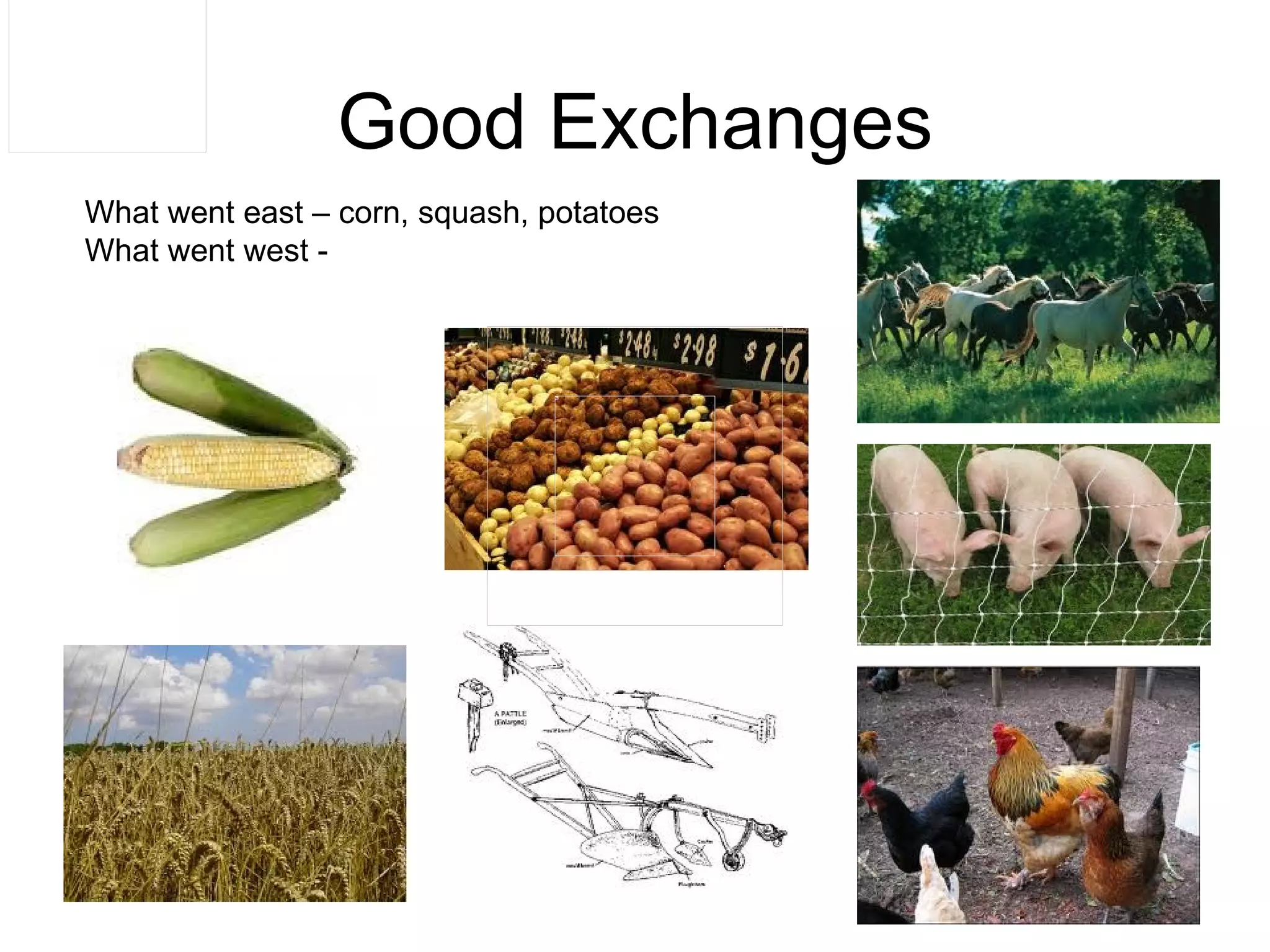Good Exchanges What went east – corn, squash, potatoes  What went west -  