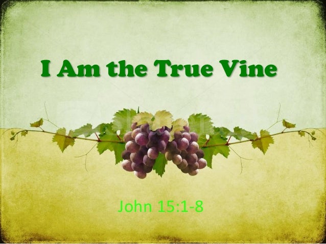 I Am The True Vine