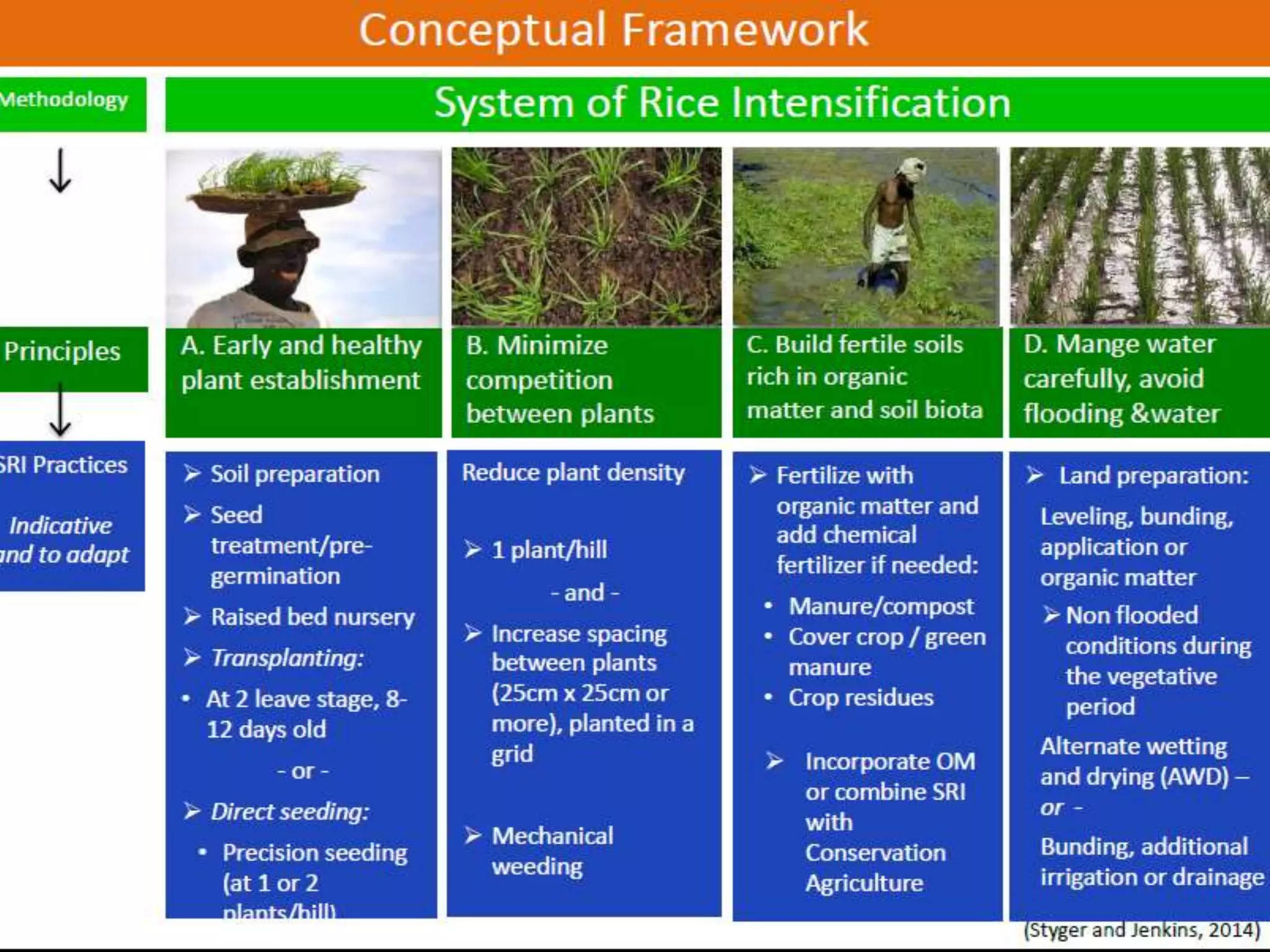 Systematic Rice Intensification 1501 - System of Rice Intensification Research Perspective in Nepal | PPTX