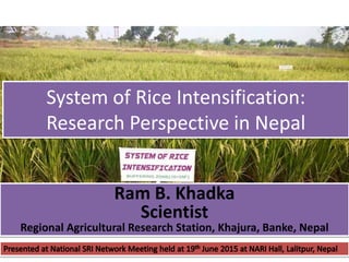 System of Rice Intensification:
Research Perspective in Nepal
Ram B. Khadka
Scientist
Regional Agricultural Research Station, Khajura, Banke, Nepal
 