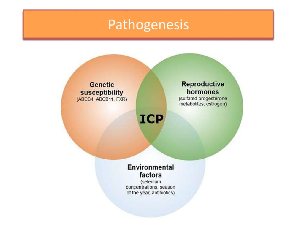 cholestasis of pregnancy/ obstetric cholestasis