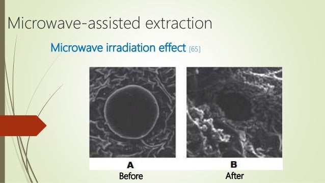 microwave assisted extraction technique for oil extraction This technique has been applied in several fields such as analytical chemistry and biology heat reflux extraction, mechanochemical-assisted extraction, microwave-assisted extraction, instant controlled pressure drop extraction (dic (such as oil from olive cake see at right) soxhlet. microwave assisted extraction technique for oil extraction This technique has been applied in several fields such as analytical chemistry and biology heat reflux extraction, mechanochemical-assisted extraction, microwave-assisted extraction, instant controlled pressure drop extraction (dic (such as oil from olive cake see at right) soxhlet.