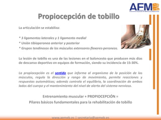 www.aemeb.es | secretaria@aemeb.es
La articulación se estabiliza:
* 3 ligamentos laterales y 1 ligamento medial
* Unión tibioperonea anterior y posterior
* Grupos tendinosos de los músculos extensores-flexores-peroneos.
La lesión de tobillo es una de las lesiones en el baloncesto que producen más días
de descanso deportivo en equipos de formación, siendo su incidencia de 15-30%.
La propiocepción es el sentido que informa al organismo de la posición de los
músculos, regula la dirección y rango de movimiento, permite reacciones y
respuestas automáticas; además controla el equilibrio, la coordinación de ambos
lados del cuerpo y el mantenimiento del nivel de alerta del sistema nervioso.
Entrenamiento muscular + PROPIOCEPCIÓN =
Pilares básicos fundamentales para la rehabilitación de tobillo
Propiocepción de tobillo
 