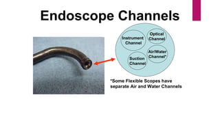 Endoscope Channels
Instrument
Channel
Optical
Channel
Air/Water
Channel*Suction
Channel
*Some Flexible Scopes have
separate Air and Water Channels
 