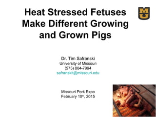 Heat Stressed Fetuses
Make Different Growing
and Grown Pigs
Dr. Tim Safranski
University of Missouri
(573) 884-7994
safranskit@missouri.edu
Missouri Pork Expo
February 10th
, 2015
 