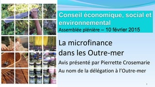 La microfinance
dans les Outre-mer
Avis présenté par Pierrette Crosemarie
Au nom de la délégation à l’Outre-mer
Pierrette 1
 