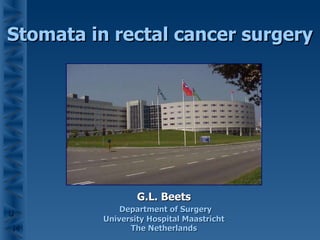 Stomata in rectal cancer surgery G.L. Beets Department of Surgery University Hospital Maastricht The Netherlands 