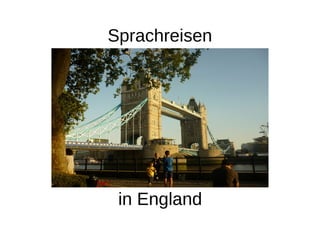 Sprachreisen
in England
 