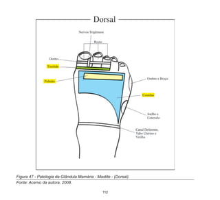 112
Figura 47 - Patologia da Glândula Mamária - Mastite - (Dorsal).
Fonte: Acervo da autora, 2008.
 