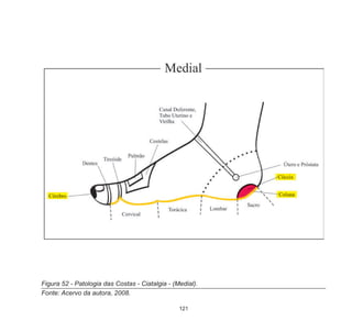 121
Figura 52 - Patologia das Costas - Ciatalgia - (Medial).
Fonte: Acervo da autora, 2008.
 