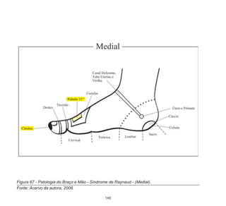 140
Figura 67 - Patologia do Braço e Mão - Síndrome de Raynaud - (Medial).
Fonte: Acervo da autora, 2008.
 