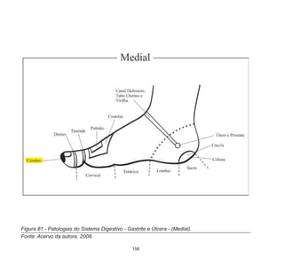 158
Figura 81 - Patologias do Sistema Digestivo - Gastrite e Úlcera - (Medial).
Fonte: Acervo da autora, 2008.
 