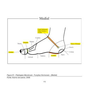 172
Figura 91 - Patologias Menstruais - Funções Hormonais - (Medial)
Fonte; Acervo da autora, 2008.
 