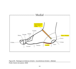 181
Figura 96 - Patologia do Sistema Urinário - Incontinência Urinária - (Medial).
Fonte: Acervo da autora, 2008.
 