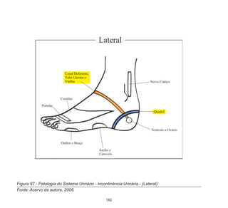 182
Figura 97 - Patologia do Sistema Urinário - Incontinência Urinária - (Lateral).
Fonte: Acervo da autora, 2008.
 