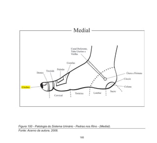 185
Figura 100 - Patologia do Sistema Urinário - Pedras nos Rins - (Medial).
Fonte: Acervo da autora, 2008.
 