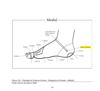 187
Figura 102 - Patologia do Sistema Urinário - Dilatação da Próstata - (Medial).
Fonte: Acervo da autora, 2008.
 