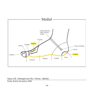 198
Figura 108 - Patologias dos Pés - Frieiras - (Medial).
Fonte: Acervo da autora, 2008.
 