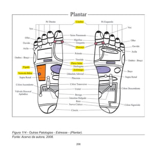 208
Figura 114 - Outras Patologias - Estresse - (Plantar).
Fonte: Acervo da autora, 2008.
 