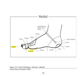 209
Figura 115 - Outras Patologias - Estresse - (Medial).
Fonte: Acervo da autora, 2008.
 
