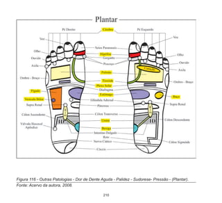 210
Figura 116 - Outras Patologias - Dor de Dente Aguda - Palidez - Sudorese- Pressão - (Plantar).
Fonte: Acervo da autora, 2008.
 