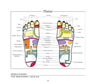 25
MODELO PLANTAR.
Fonte: Material didático - sala de aula.
 