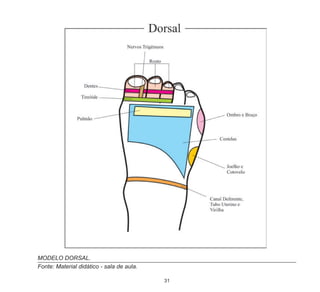 31
MODELO DORSAL.
Fonte: Material didático - sala de aula.
 