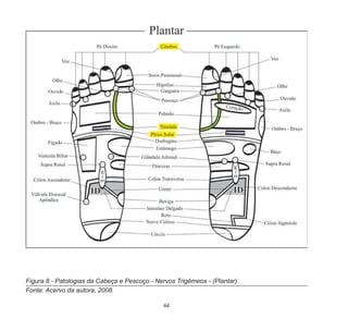 44
Figura 8 - Patologias da Cabeça e Pescoço - Nervos Trigêmeos - (Plantar).
Fonte: Acervo da autora, 2008.
 