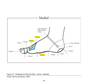 98
Figura 37 - Patologia da Área do Peito - Asma - (Medial).
Fonte: Acervo da autora, 2008.
 