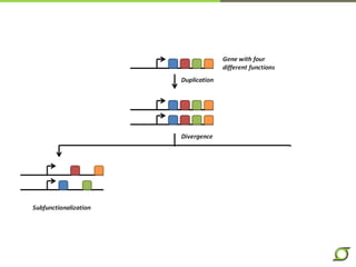 Segmental duplications can predispose loci to further
rearrangement via NAHR
 