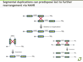 1q21
1q21 patch alignment to chromosome 1
1q32 1q21 1p21
 