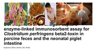 Development of an antigen-capture
enzyme-linked immunosorbent assay for
Clostridium perfringens beta2-toxin in
porcine feces and the neonatal piglet
intestine
Guevarra; Olivar; Santos; Tan; Virata
 