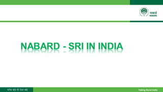 1503 - NABARD - System of Rice Intensification in India | PPT