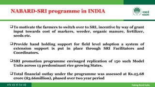 गाँव बढ़े तो देश बढ़े Taking Rural India
NABARD-SRI programme in INDIA
To motivate the farmers to switch over to SRI, incentive by way of grant
input towards cost of markers, weeder, organic manure, fertilizer,
seeds etc.
Provide hand holding support for field level adoption a system of
extension support is put in place through SRI Facilitators and
Coordinators.
SRI promotion programme envisaged replication of 150 such Model
Units across 13 predominant rice growing States.
Total financial outlay under the programme was assessed at Rs.25.68
crore ($3.66million), phased over two year period
 
