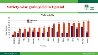 गाँव बढ़े तो देश बढ़े Taking Rural India
Variety-wise grain yield in Upland
Yield in Q/Ha
 