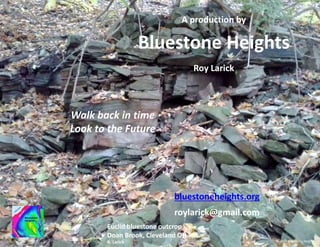 Roy Larick
Walk back in time
Look to the Future
Bluestone Heights
© 2015 Bluestone Heights
A production by
bluestoneheights.org
roylarick@gmail.com
Euclid bluestone outcrop
Doan Brook, Cleveland OHR. Larick
 
