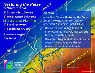 Restoring the Pulse
1) Streams into Sewers
City of Euclid
boundary
Google Earth aerial viewer
© 2015 Bluestone Heights
Bluestone
Heights
bluestoneheights.org
2) Initial Green Solutions
4) Eco-Greenways
of Nature in Euclid
3) Integrated Planning
Bluestone Heights
Roy Larick
5) Euclid Ecology Unit
Overview
In five SlideShares, Restoring the Pulse
presents two goals for stormwater
Integrated Planning in Euclid, Ohio:
• Revive the natural regulation of
stormwater at relatively low cost and
high community benefit.
• Reconnect fragmented natural habitat
areas as a means to build local
biodiversity and natural capital.
 