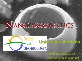 Università di Urbino

   www.nanodiagnostics.it
   www.stefanomontanari.net
 