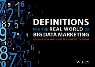 DEFINITIONS
for the REAL WORLD of
BIG DATA MARKETING
9 TERMS YOU AND YOUR TEAM NEED TO KNOW
 
