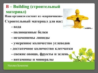 B – Building (строительный
материал)
 