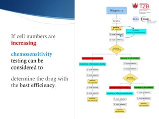 Diagnosis
Surgery
maintrac
cell counting
1. cycle guidelines
2. cycle guidelines
maintrac
cell counting
Increase in cell numbers
maintrac chemosensitivity
3. cycle adapted
4. cycle adapted
maintrac
cell couning
5. cycle adapted
6. cycle adapted
maintrac
cell counting
Decrease in cell numbers
3. cycle guidelines
4. cycle guidelines
maintrac
cell counting
Increase in cell numbers
maintrac chemosensitivity
5. cycle adapted
6. cycle adapted
maintrac
cell counting
Decrease in cell numbers
5. cycle guidelines
6. cycle guidelines
maintrac
cell counting
OPTIONAL:
maintrac chemosensitivity
D-ML-13345-01-00-
If cell numbers are
increasing,
chemosensitivity
testing can be
considered to
determine the drug with
the best efficiency.
 