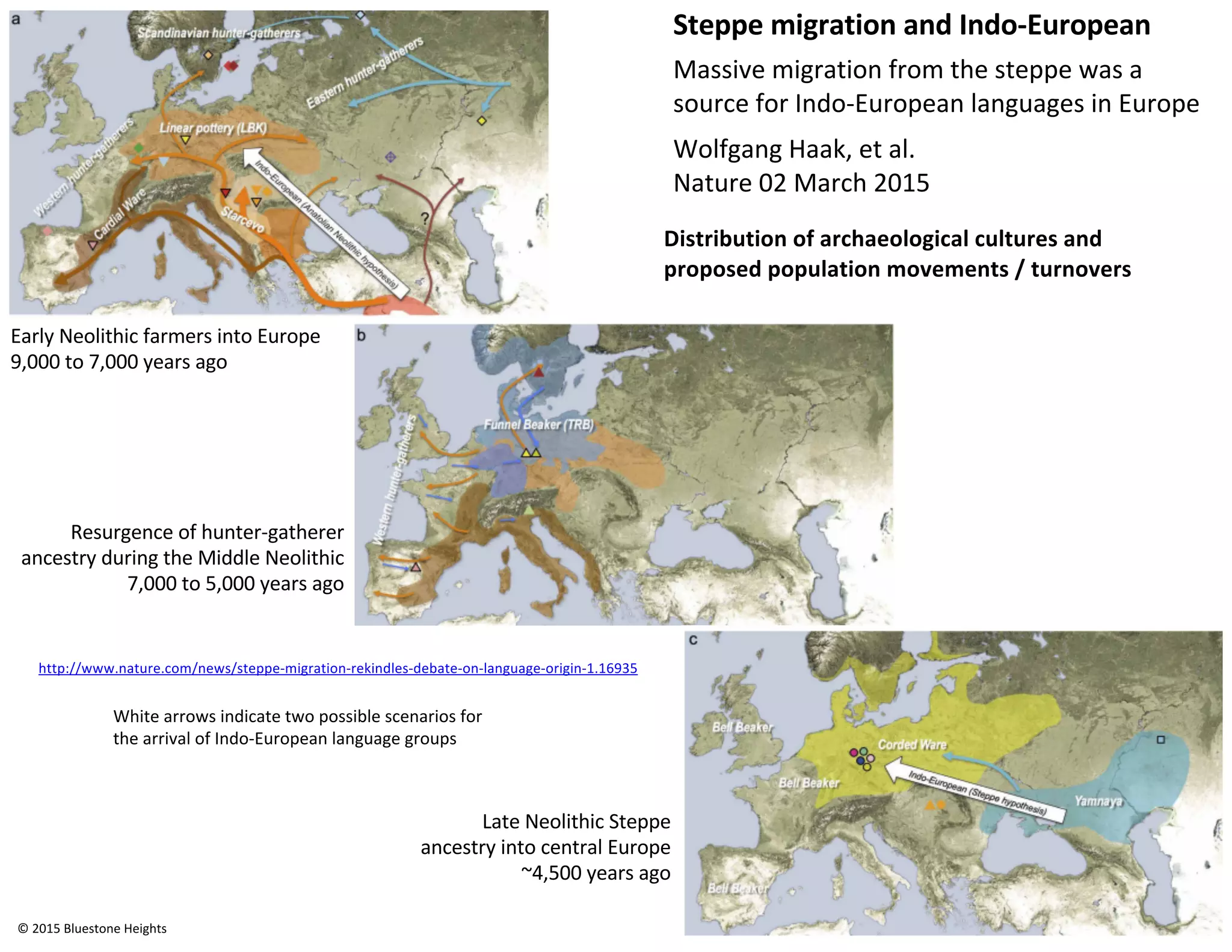 Steppe migration and Indo-European
Massive migration from the steppe was a
source for Indo-European languages in Europe
Wolfgang Haak, et al.
Nature 02 March 2015
http://www.nature.com/news/steppe-migration-rekindles-debate-on-language-origin-1.16935
Distribution of archaeological cultures and
proposed population movements / turnovers
Early Neolithic farmers into Europe
9,000 to 7,000 years ago
Late Neolithic Steppe
ancestry into central Europe
~4,500 years ago
Resurgence of hunter-gatherer
ancestry during the Middle Neolithic
7,000 to 5,000 years ago
White arrows indicate two possible scenarios for
the arrival of Indo-European language groups
© 2015 Bluestone Heights
 