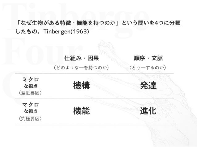ティンバーゲンの4つのなぜ Tinbergen's four questions JapaneseClass.jp
