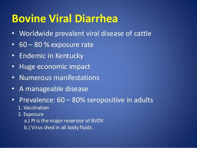 Dr. Robert Stout - Bovine Virus Diarrhea-Persistent 