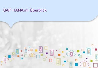 SAP HANA im Überblick
 