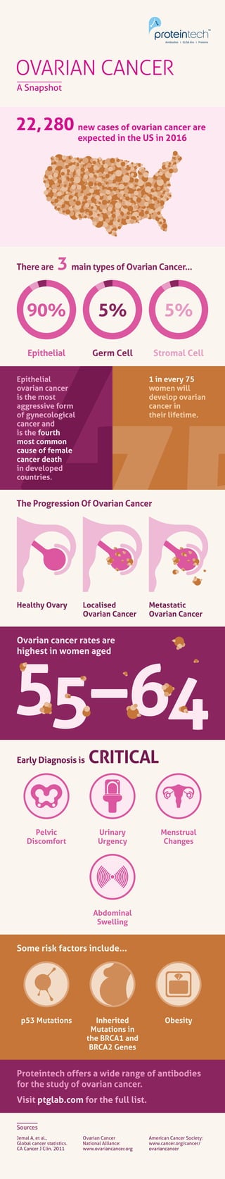OVARIAN CANCER
A Snapshot
22,280
Early Diagnosis is CRITICAL
There are
The Progression Of Ovarian Cancer
Epithelial Germ Cell Stromal Cell
new cases of ovarian cancer are
expected in the US in 2016
90%
3
5% 5%
main types of Ovarian Cancer...
Epithelial
ovarian cancer
is the most
aggressive form
of gynecological
cancer and
is the fourth
most common
cause of female
cancer death
in developed
countries.
1 in every 751 in every 75
women will
develop ovarian
cancer in
their lifetime.
Healthy Ovary
Pelvic
Discomfort
Inherited
Mutations in
the BRCA1 and
BRCA2 Genes
Obesityp53 Mutations
Urinary
Urgency
Abdominal
Swelling
Menstrual
Changes
Localised
Ovarian Cancer
Metastatic
Ovarian Cancer
Ovarian cancer rates are
highest in women aged
Proteintech offers a wide range of antibodies
for the study of ovarian cancer.
Visit ptglab.com for the full list.
Sources
Some risk factors include...
Jemal A, et al.,
Global cancer statistics.
CA Cancer J Clin. 2011
Ovarian Cancer
National Alliance:
www.ovariancancer.org
American Cancer Society:
www.cancer.org/cancer/
ovariancancer
 