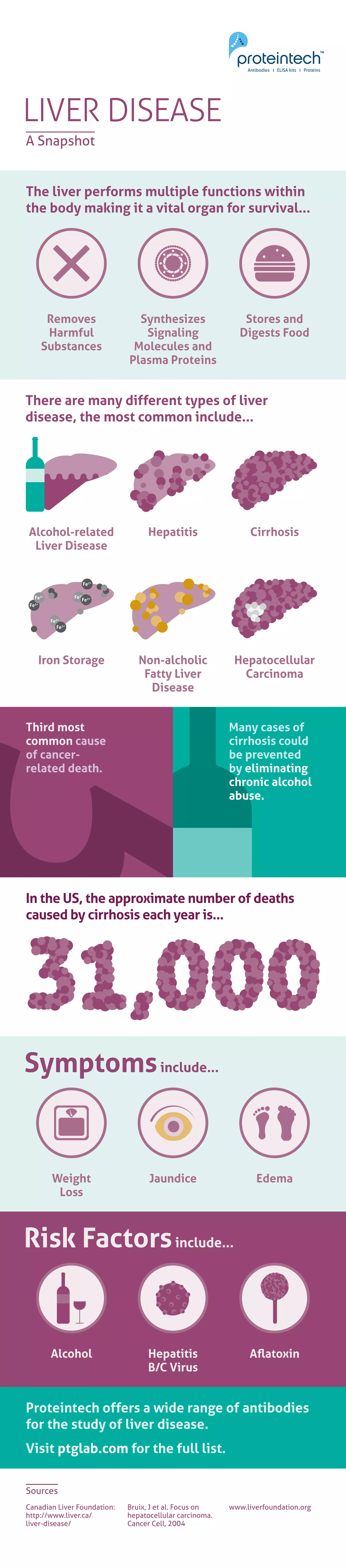 Liver Disease - A Snapshot | PDF