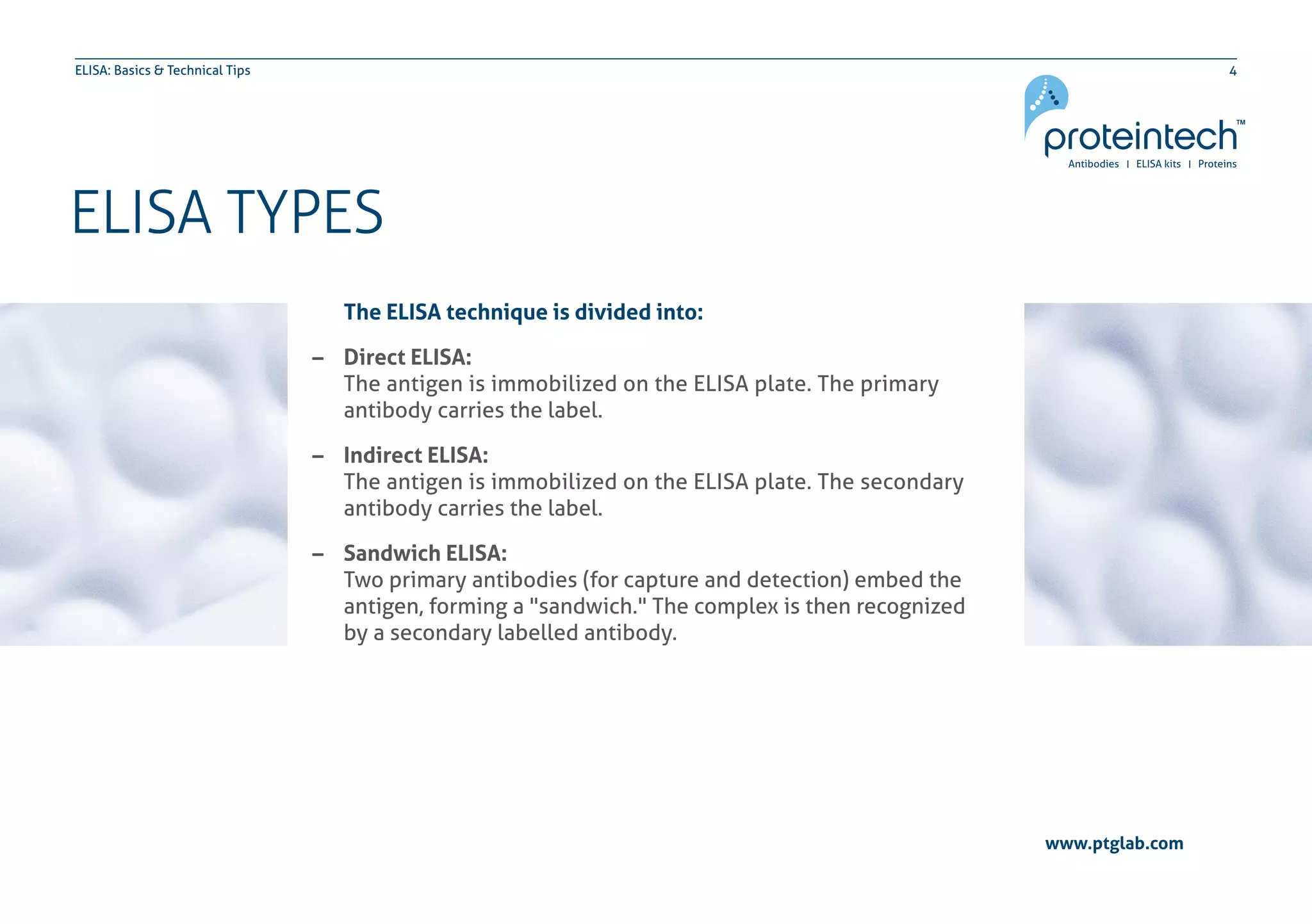 4ELISA: Basics & Technical Tips
ELISA TYPES
www.ptglab.com
The ELISA technique is divided into:
–– Direct ELISA:
	 The antigen is immobilized on the ELISA plate. The primary 		
	 antibody carries the label.
–– Indirect ELISA:
	 The antigen is immobilized on the ELISA plate. The secondary 	
	 antibody carries the label.
–– Sandwich ELISA:
	 Two primary antibodies (for capture and detection) embed the 	
	 antigen, forming a "sandwich." The complex is then recognized
	 by a secondary labelled antibody.
 