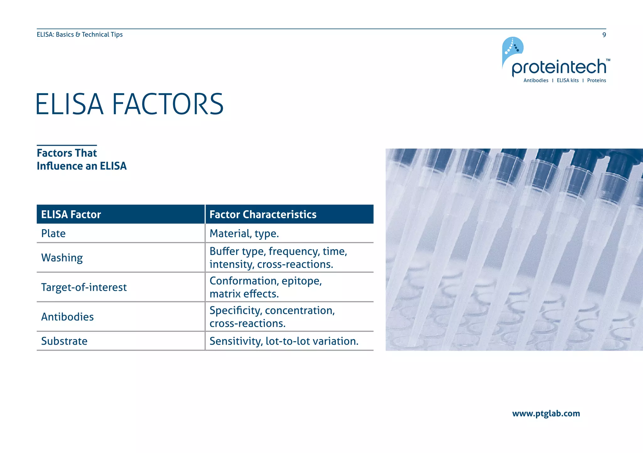 9ELISA: Basics & Technical Tips
www.ptglab.com
ELISA FACTORS
Factors That
Influence an ELISA
ELISA Factor Factor Characteristics
Plate Material, type.
Washing
Buffer type, frequency, time,
intensity, cross-reactions.
Target-of-interest
Conformation, epitope,
matrix effects.
Antibodies
Specificity, concentration,
cross-reactions.
Substrate Sensitivity, lot-to-lot variation.
 