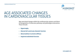 3Cardiovascular Research Focus
www.ptglab.com
AGE-ASSOCIATED CHANGES
IN CARDIOVASCULAR TISSUES
Age-associated changes within the cardiovascular system contribute
to deregulation of molecular pathways and pathological alterations.
These include:
–– Hypertrophy
–– Altered left ventricular diastolic function
–– Abnormalities in arterial stiffness
–– Impaired endothelial function
 